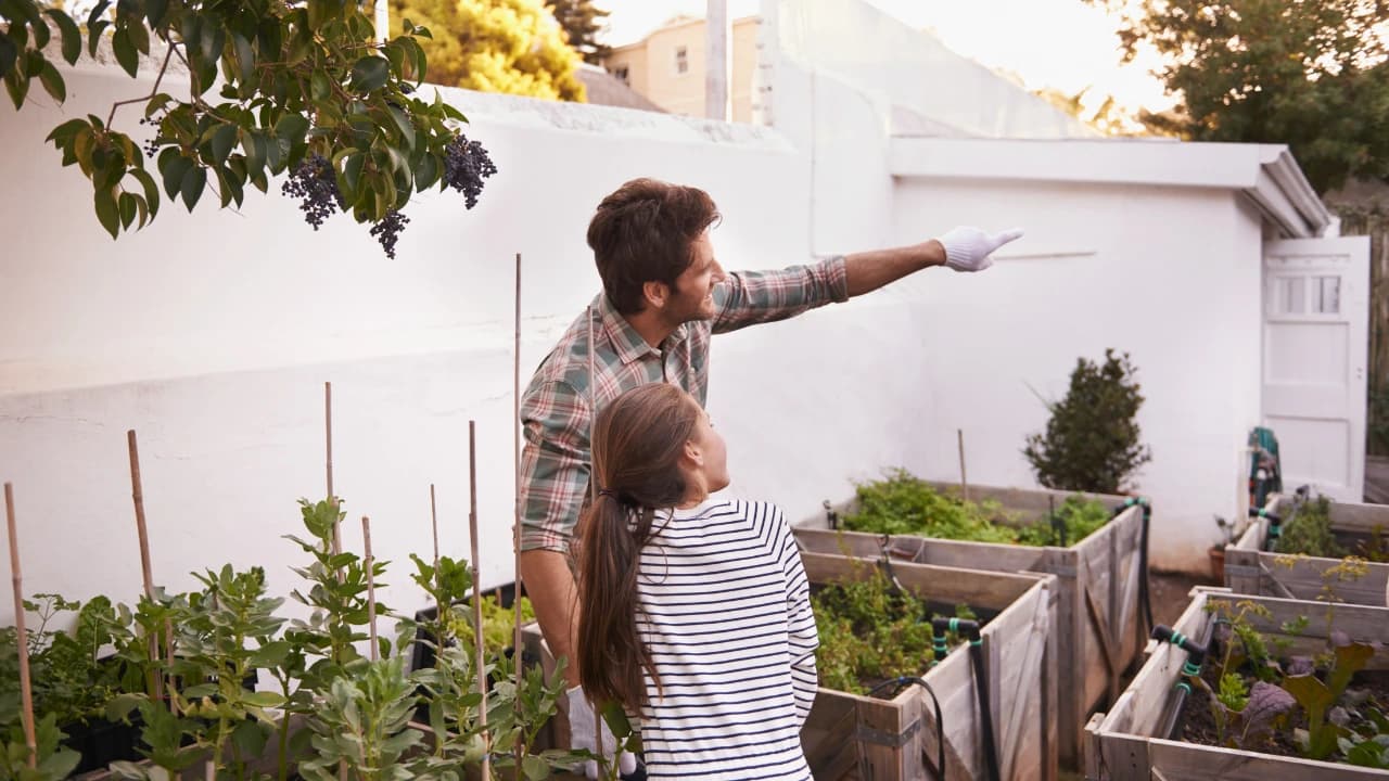 Container Gardening Tips